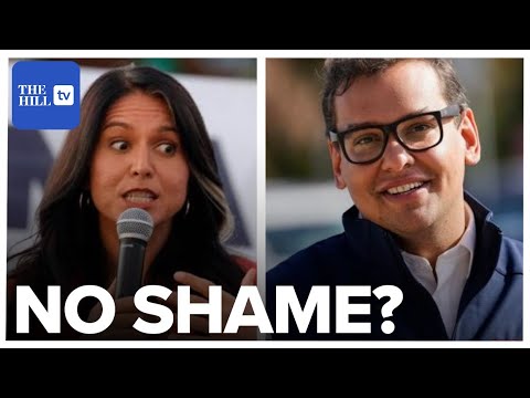 Tulsi Gabbard Tears Into George Santos During Fox Interview: ‘Do You Have No Shame?’