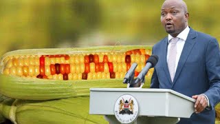 Remarks by Trade CS Moses Kuria on GMO continues to elicit mixed reactions from western leaders