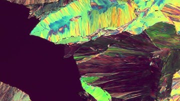 Micro-Crystal Growing Under Microscope with Polarized Light (Time Lapse)