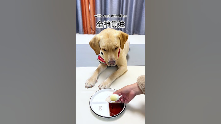 讓狗子幫忙剝個雞蛋，脾氣居然這麼大… - 天天要聞