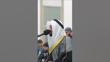 تلاوة خاشعة من سورة الاحزاب لفضيلة الشيخ | أحمد النفيس 🌿