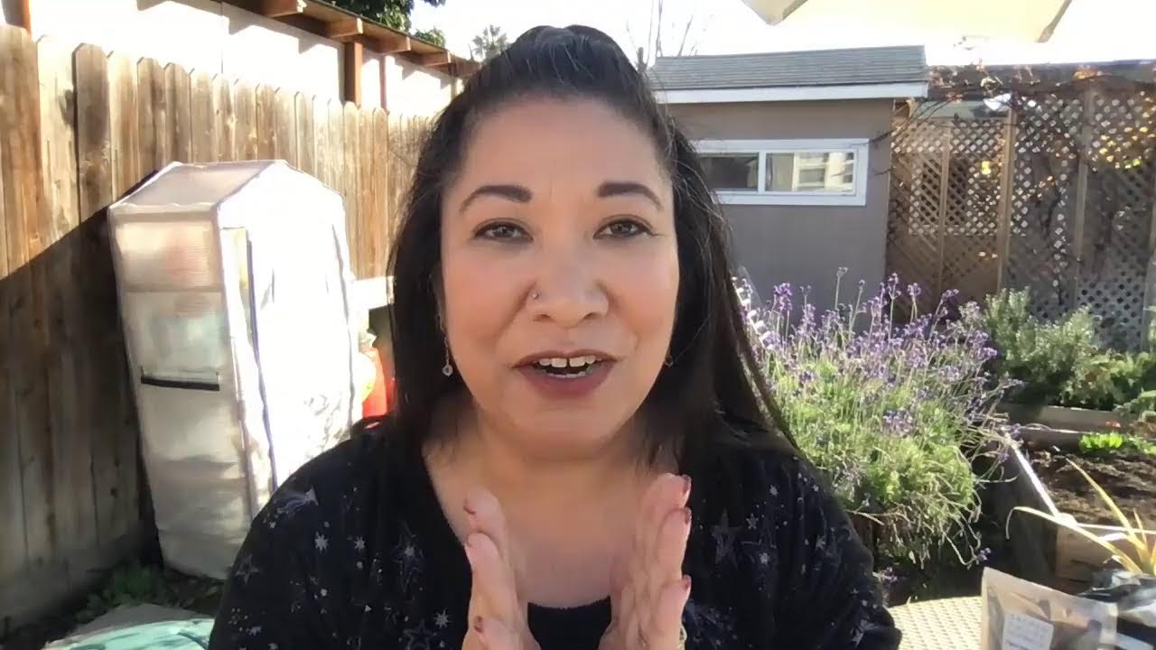 LIVE // Buying Hemp Online 💚 Dreamland Organics, Horn Creek Hemp & More! & a 10% off DLO CODE below👇