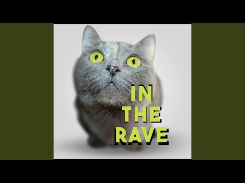 In The Rave