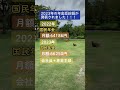 2023年の年金受給額！発表します！！実質…目減りです…#年金 #年金受給額 #年金生活 #老後 #老後生活 #老後資金 #老後破産 #shorts