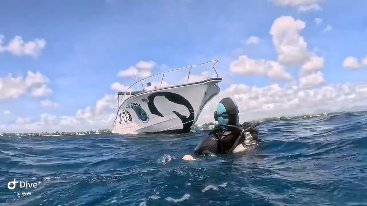 Mauritius Tauchen 2024