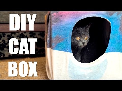 diy-cat-tent-from-t-shirt-and-box-😻