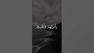 القارئ : الشيخ احمد بن طالب #قران_كريم #راحة_نفسية #اكسبلور #اكسبلور_فولو #quran #أحمد_بن_طالب