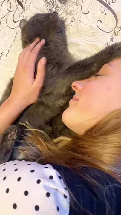 How the Cat Kiryusha Meets Josephine After School
