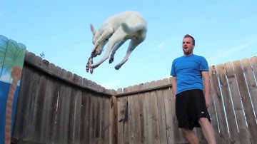 Twixtor slow motion test