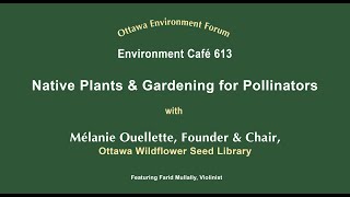 Native Plants and Gardening for Pollinators