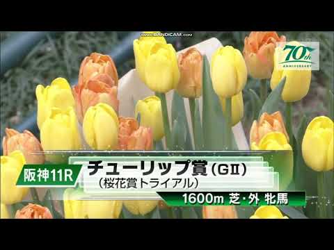 2024年 チューリップ賞（GⅡ）ファンファーレ
