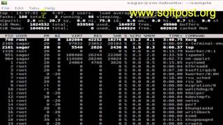How to check cpu usage in Mac OS X Terminal
