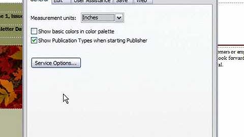 Change Ruler Measurements in Publisher 2007