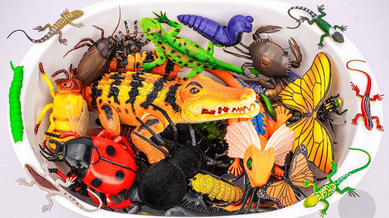 ZURU ROBO ALIVE COLLECTION | UNBOXING Robo Crocodile, Robo Snake , Robo Butterfly | ASMR