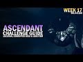 Ascendant Challenge Week 17 Guide - Corrupted Eggs, Lore Item Location & Solo Clear