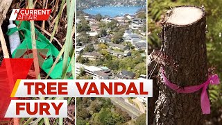 Council hunting vandals who destroyed decades-old trees | A Current Affair