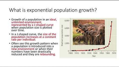 Exponential vs  Logistic Growth