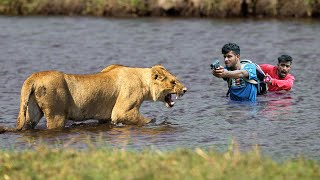 Lion Attack Man in Forest | Lion Attack Hunter | Lion Attack Stories Part -14