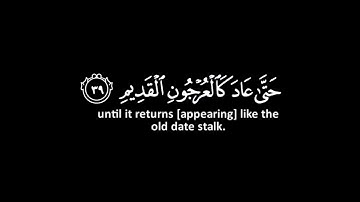 كروما شاشه سوداء قرآن كريم --كروما جاهزه للمونتاج --القارئ شريف مصطفى
