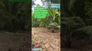 Kadapakkam 🏡24 cent🌴Mixed Farm 🌴 #shorts #viral #reels #instagram #trending #music #home #money #top