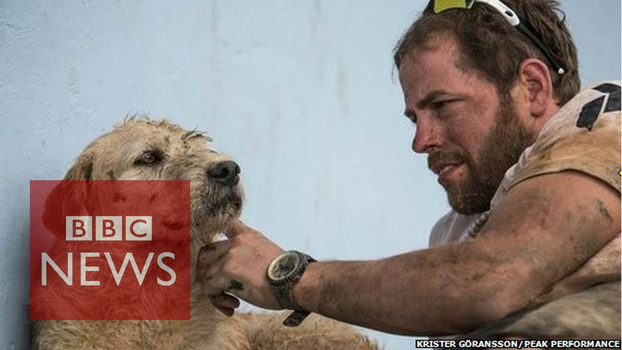 Extreme adventurers adopt plucky dog