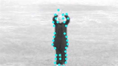 Fast 3D Extension of Fast Feature Detection for SpatioTemporal Corner Detection video1