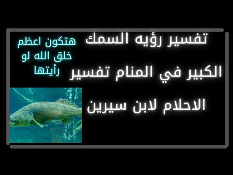تفسير رؤيه السمك الكبير في المنام تفسير الاحلام لابن سيرين