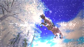 ❄ Snowflakes ❄ [Mep Part 3]