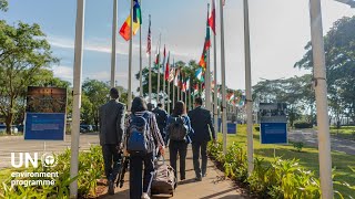 Young voices, global impact: The young people getting involved in global environmental policy