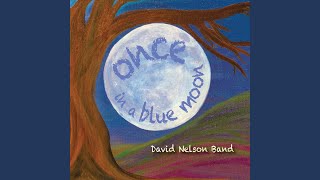 Video thumbnail of "David Nelson Band - Cut and Run"