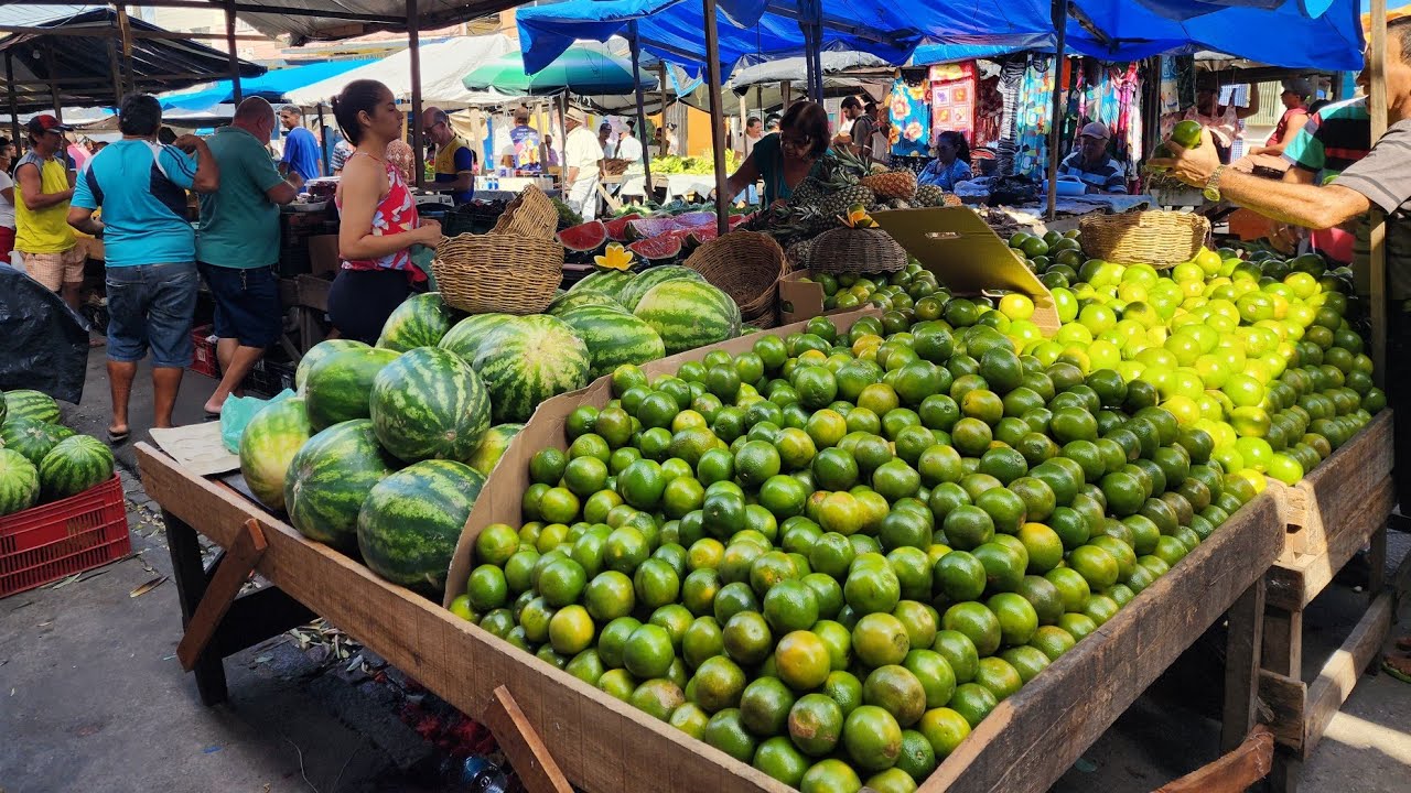FEIRA LIVRE DE VITÓRIA DE SANTO ANTÃO PERNAMBUCO 6 de janeiro de 2024