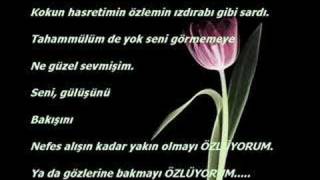 Illede Sen.....