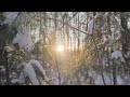 RedFlame - Весенняя капель