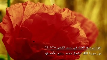 تلاوة من صلاة العشاء في مسجد القبلتين ٨-٣-١٤٤١ من سورة الملك الشيخ محمد سليم الأحمدي