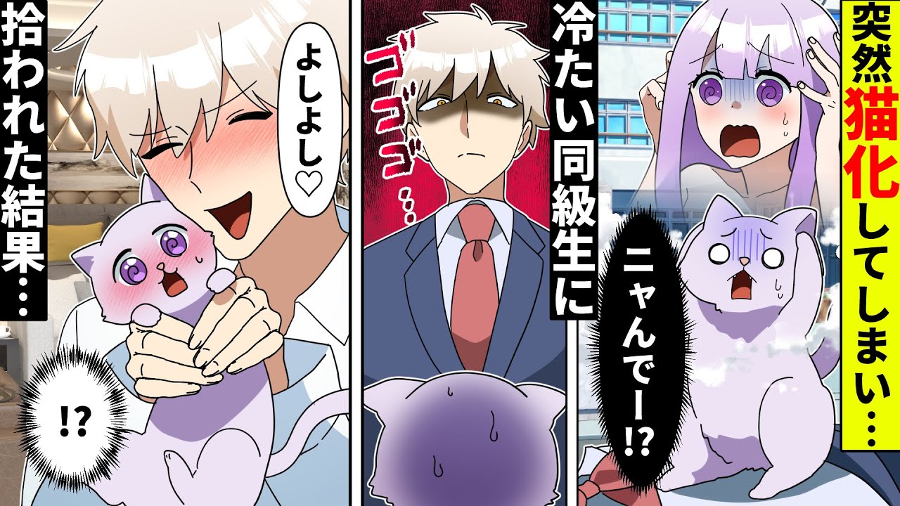 【貧乏少女シリーズ】女子高生が突然ネコ化したらどうなる？何も知らないクラスのイケメンが私を…【ソプラノ漫画】【漫画】【マンガ動画】【アニメ】