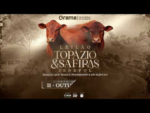 LOTE 24 - GRAMA7428