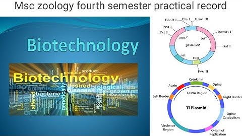 MSc zoology semester- IV practical record [ Principles of biotechnology]