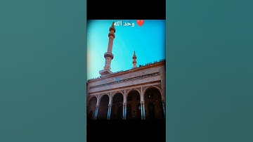 لاتنسى ذكر الله ❤️🤲 #القرآن_الكريم #تلاوات #الحرم_المكي #احمد_العجمي #ياسر_الدوسري #المنشاوي