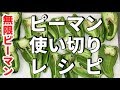 ピーマン使い切り無限ピーマンレシピ！【気になる新常識】