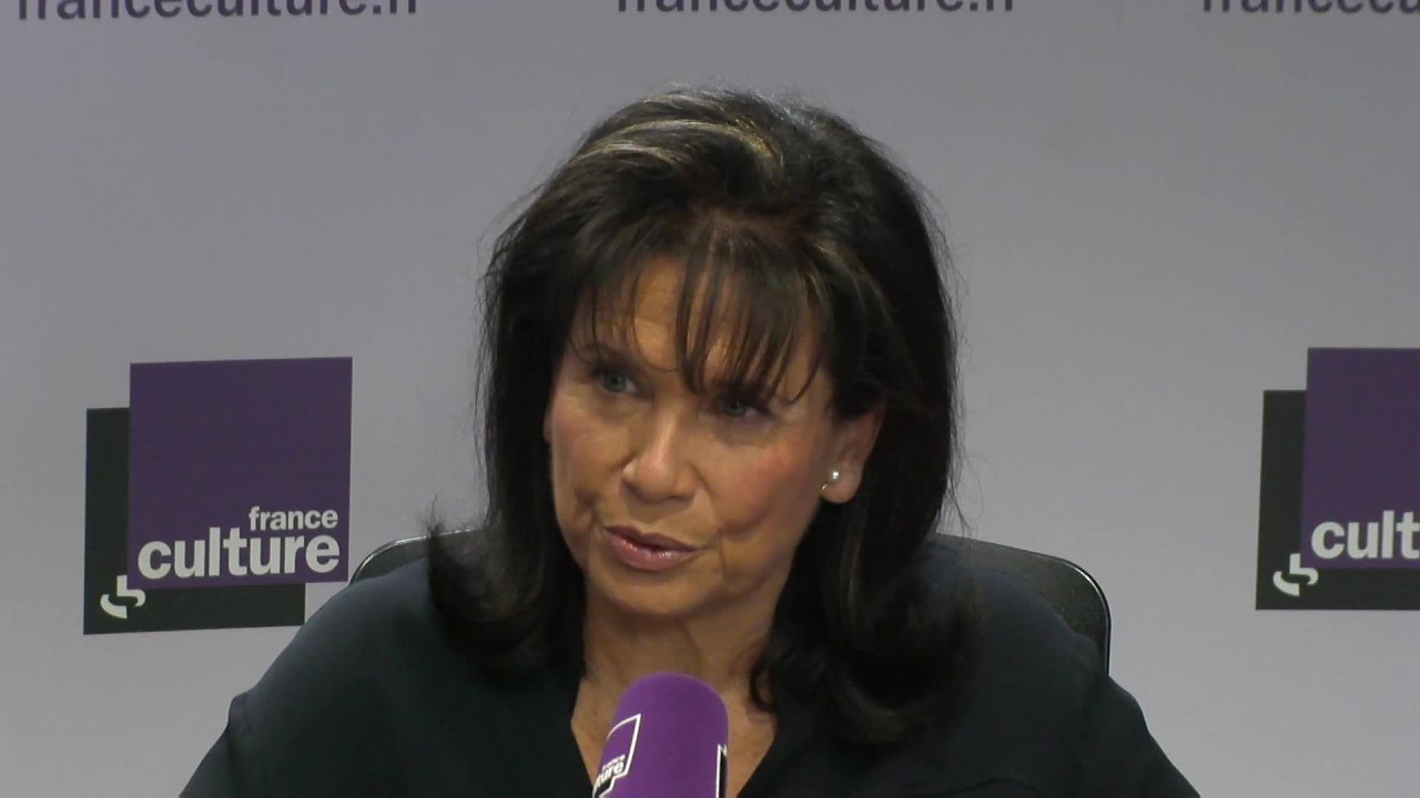 reportages francais Anne Sinclair 