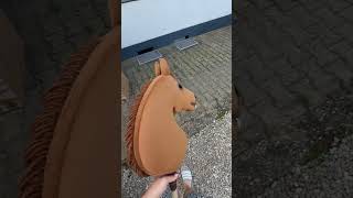 #hymy#turnier#hobbyhorse#hobbyhorsing#fypage#viral#hobbyhorses#sports #dressage#hh#training#springen