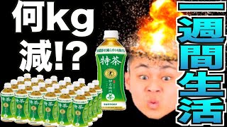 【極限ダイエット】特茶だけ1週間生活で何kg痩せる⁉︎