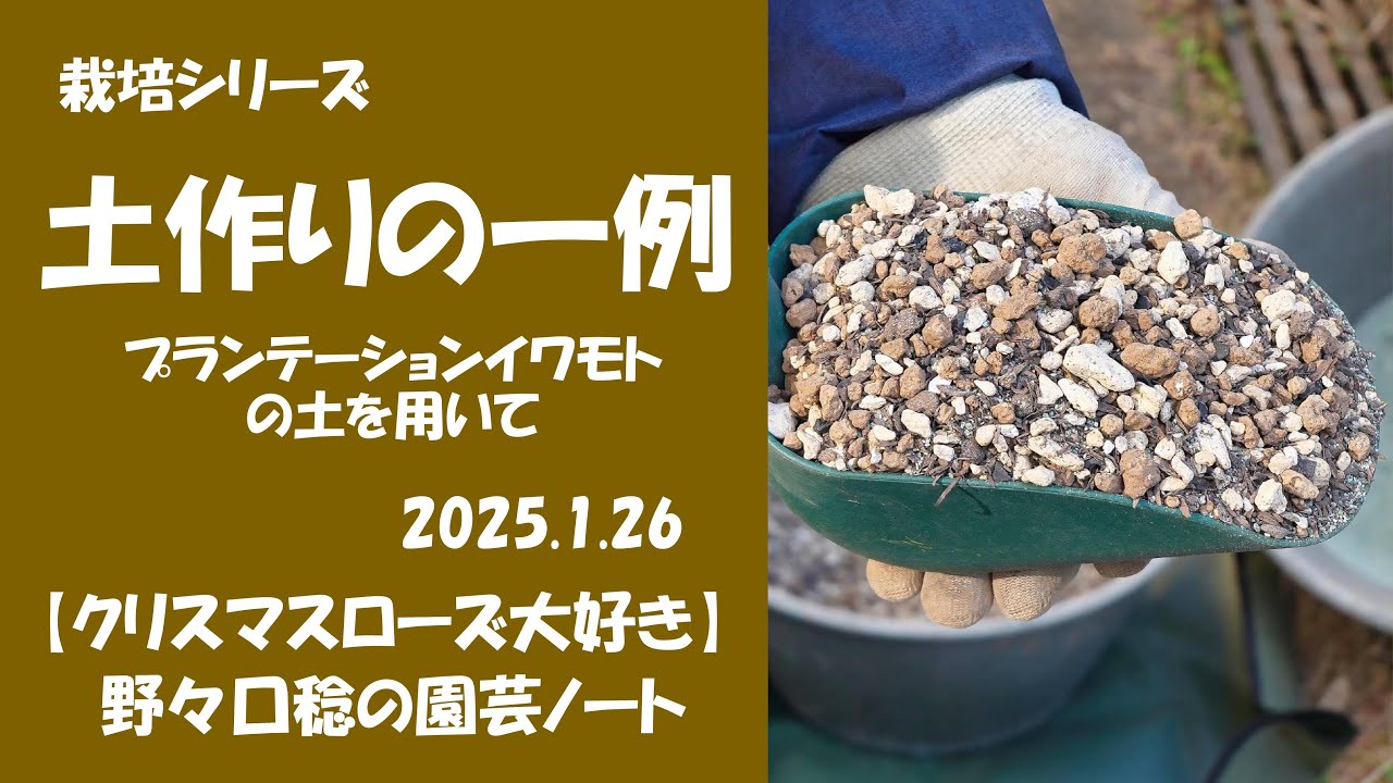 2025.1.26 土作りの一例（プランテーションイワモトの土を用いて）
