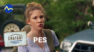 Problémový Pes Chatári