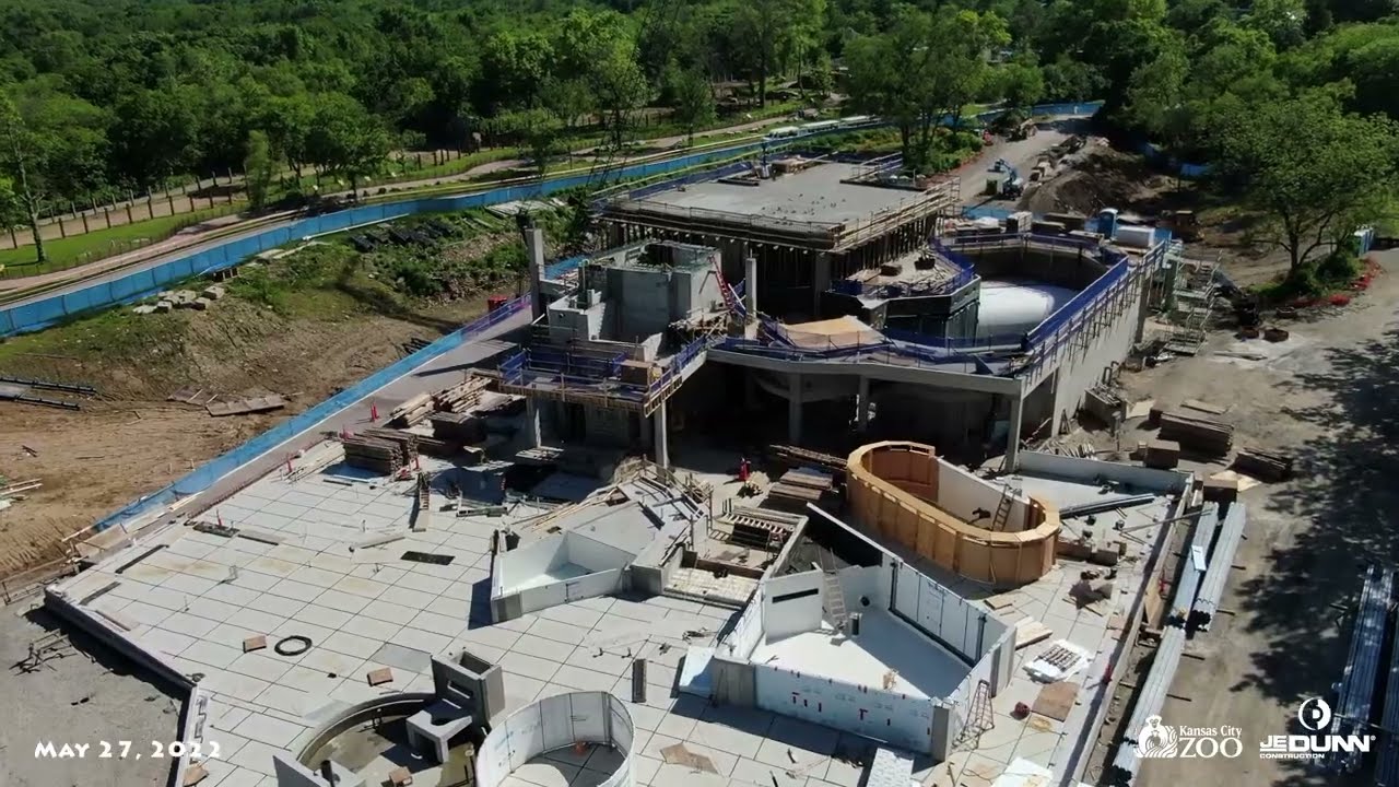 Aquarium Update: May 27, 2022