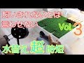 最終形態イシガメ水槽 Vol.3