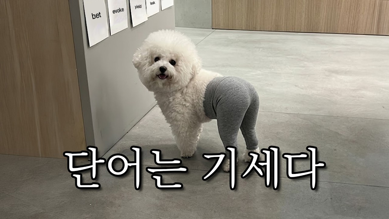 토익 파트7 고난도 단어 550개 암기를 도와줍니다.