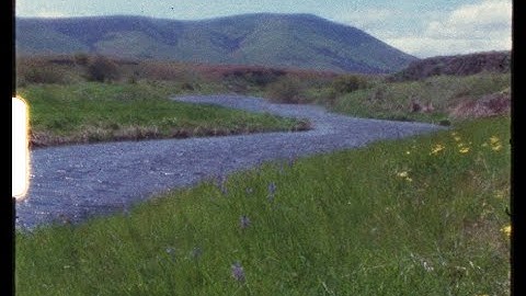 Shady Cove - Midwest (Official Music Video)