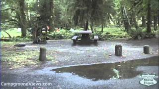 Campgroundviews.com - Hoh Campground Olympic National Park Forks Washington Wa