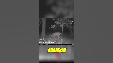 Agree or Disagree? Post Rut vs Pre Rut Hunting